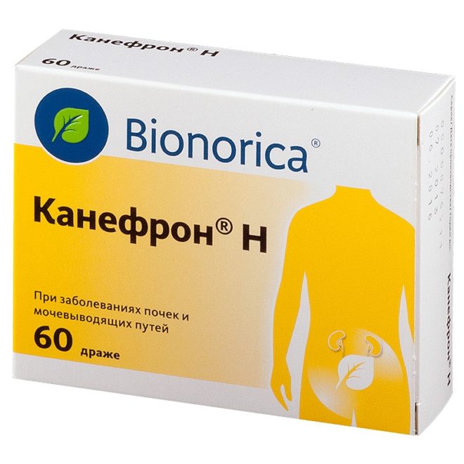 Канефрон