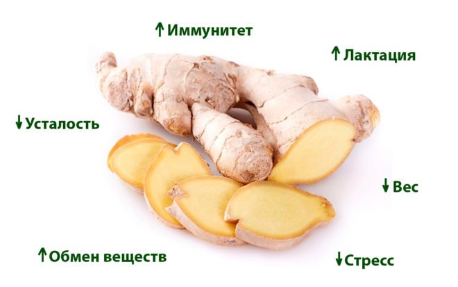 Свойства имбиря