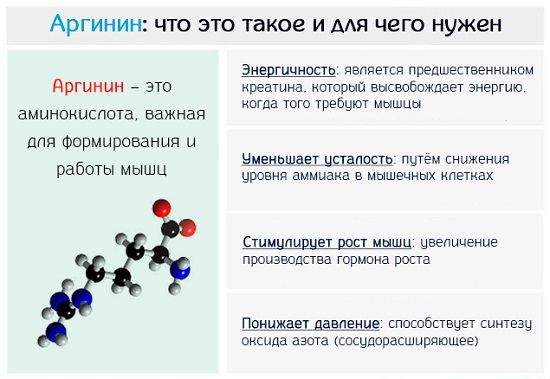 Что такое аргинин? фото