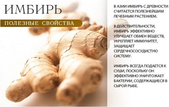 Полезные свойства и состав имбиря