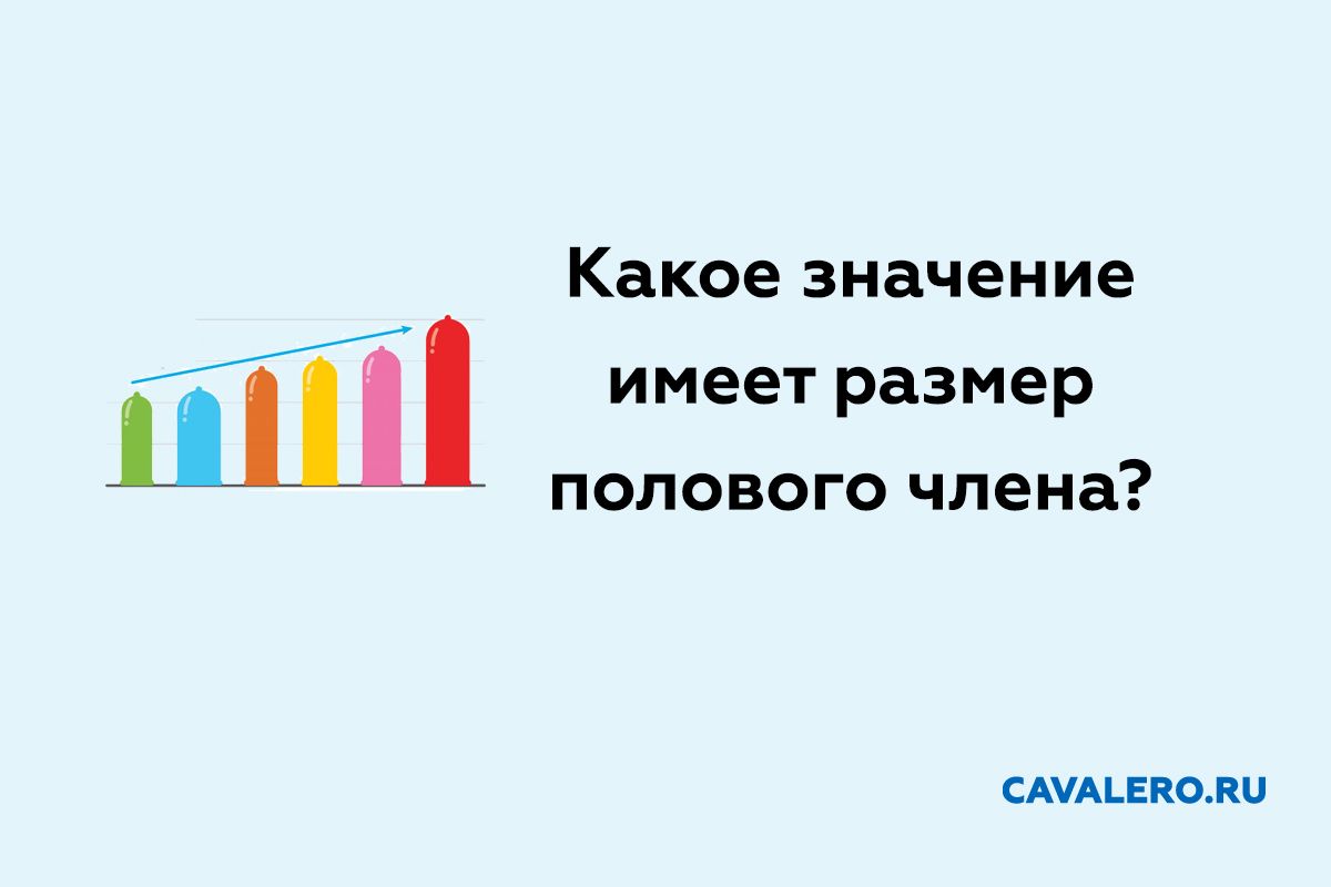 Какое значение имеет размер полового члена
