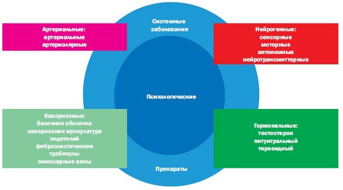 Основные причины импотенции