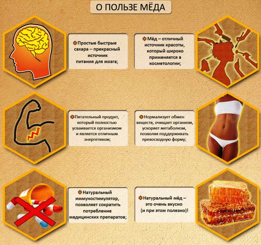 Полезные свойства меда