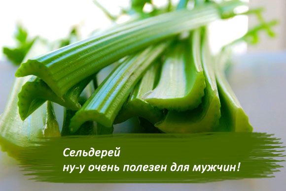 Богатый состав сельдерея