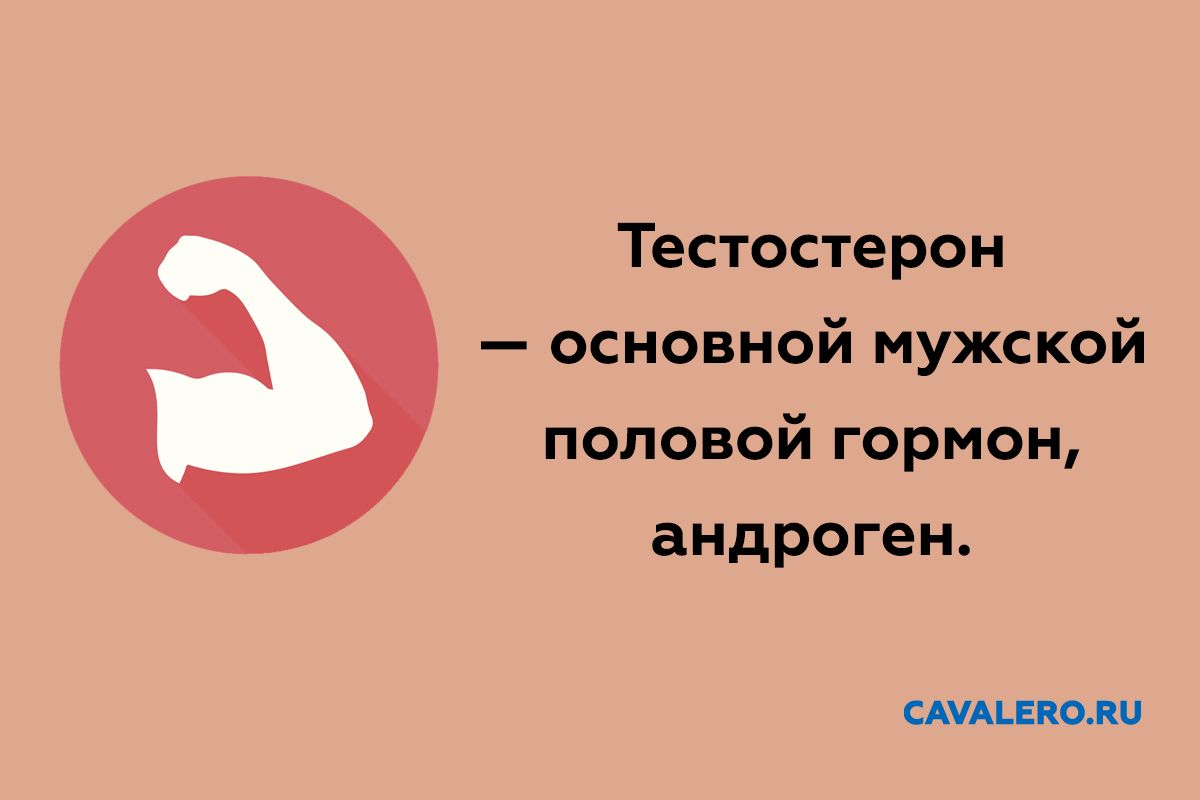 Для чего нужен тестостерон мужчине