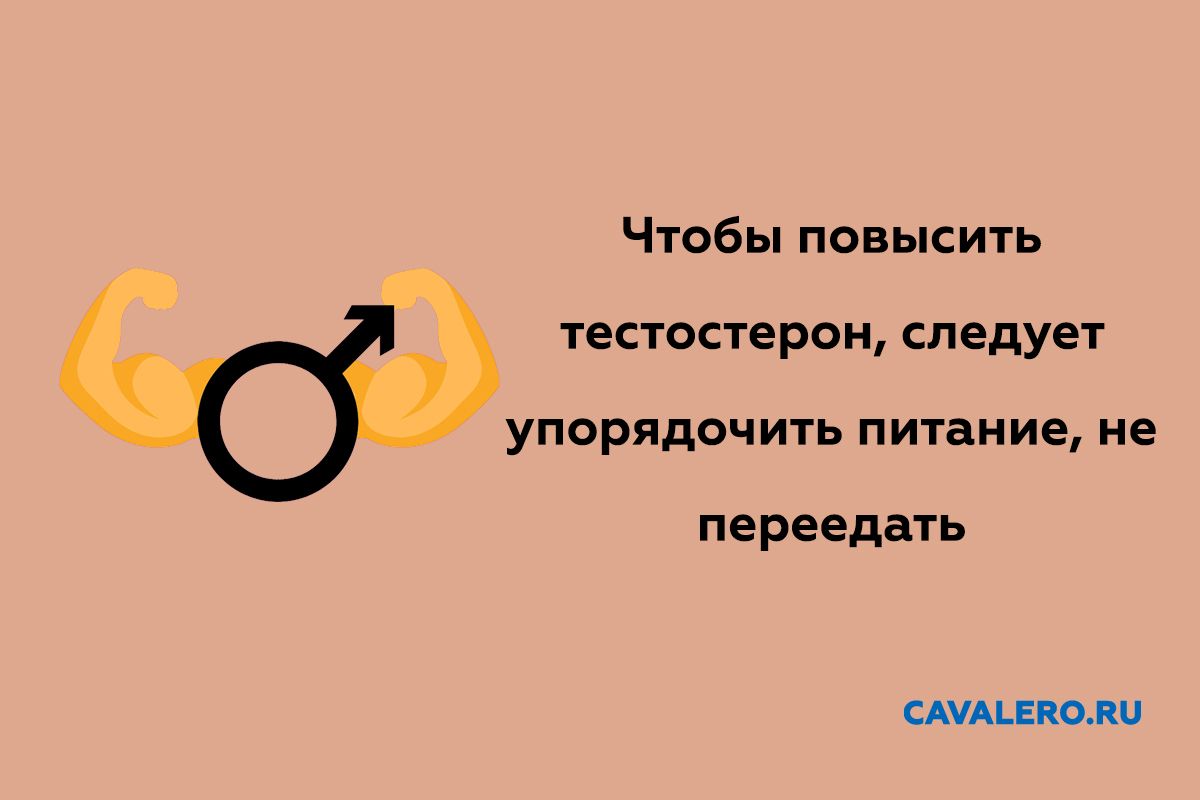 Влияние питания на уровень тестостерона