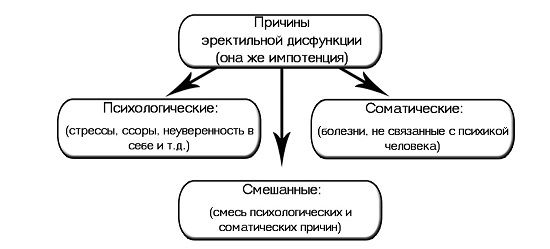 Импотенция: факторы риска